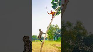 A leopard attacks a boy in the village vfx shorts leopard wildlife videos tiger [upl. by Malsi]