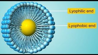 الغروي المحب والكاره للمذيب  lyophilic and lyophobic colloids [upl. by Aicen101]