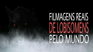 FILMAGENS REAIS DE LOBISOMENS PELO MUNDO [upl. by Iglesias]