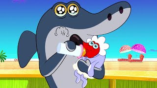 हिंदी Zig amp Sharko ✨ NEW SEASON 3 👶 नया शिशु Hindi Cartoons for Kids [upl. by Dich]