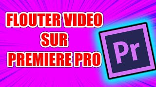 FLOUTER UNE ZONE DANS UN MONTAGE VIDÉO SUR PREMIERE PRO TUTO PREMIERE PRO [upl. by Sadoff271]