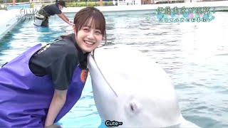 Eng Sub Miku Itos adventures as an aquarium caretaker  The Aquatope on White Sand [upl. by Foscalina]