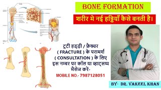 नई हड्डियाँ केसे बनती हैं  BONE FORMATION  BONE DEVELOPMENT  BONE GROWTH  STRUCTURE OF BONE [upl. by Homans]