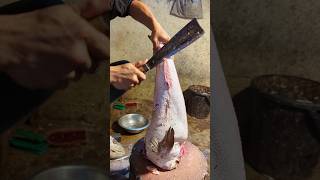 Amazing Hamour Fish Cutting Skills In Bangladesh Fish Market By Expert Cutter shorts [upl. by Naesyar]