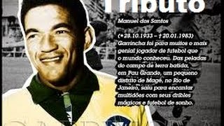 Tributo a Mané Garrincha  Balada Nº 7  Moacyr Franco [upl. by Suryt]