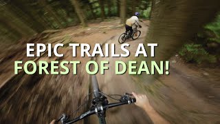 TRYING TO RIDE EVERY TRAIL AT THE FOREST OF DEAN  MTB [upl. by Annij]