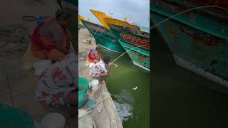 Mullet fishing in boat side water mulletfishing fishingvideos ng [upl. by Aiem]