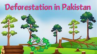 Deforestation in Pakistan [upl. by Amle]