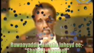 Shabeel Naagood Cabdulle Raage Vs Maryan Mursalflv [upl. by Dennett]