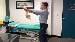 Exercises for Low Back Pain in Office Workers  How to Fix Back Pain [upl. by Aneertak]