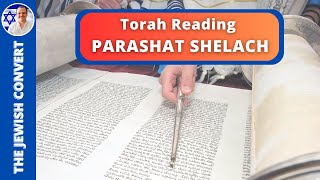 PARASHAT SHELACH  Weekly Torah Reading in Hebrew amp English Translation  TORAH STUDY [upl. by Iren]