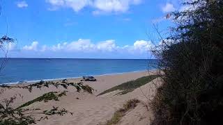 2 POLIHALE BEACH HAWAII USA shorts lifestyle luxury [upl. by Lakym]