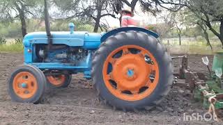 Sembrando con el Tractor Fordson y las sembradoras P25 John Deeremaquinariaagricola [upl. by Cornelle663]