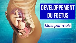 LA GROSSESSE  Le Développement du Foetus Mois par Mois [upl. by Phip]