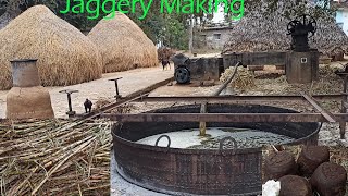 Traditional Jaggery Making Process  Jaggery Making Step By Step [upl. by Enoch858]