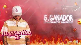 5° Ganador  Leter Hernandez Ft Nando Produce Lyrics Oficial Reggaeton 3B [upl. by Elyak458]