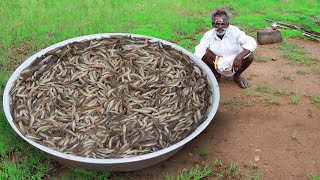 Rare River Fish Kulambu Prepared by my daddy  Ayirameen Kulambu  Village food factory [upl. by Latsyrcal]