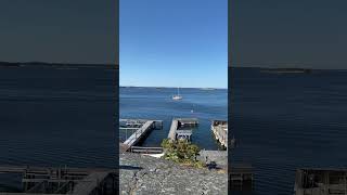 Beautiful summer in sandhamn stockholm sweden scandinavia europetravel summerineurope beach [upl. by Sivert324]