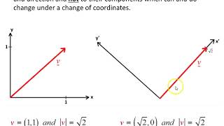 Invariance of scalars and vectors [upl. by Netsrek]