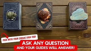 Ask Any Question And Your Guides Will Answer  Timeless Reading [upl. by Eizeerb578]