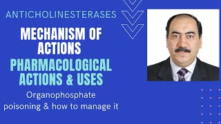 Parasympathomimetics An elaborate explanation of anticholinesterases organophosphates pharmacology [upl. by Oiramaj]