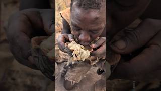 This is incredible delicious food hadzabe tribe cooks for survival food hadzabetribe [upl. by Ramos]