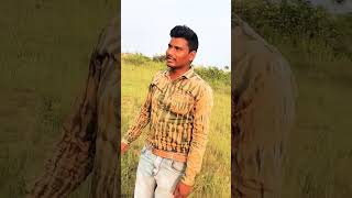 bollywood music song movie hindisong [upl. by Artim]