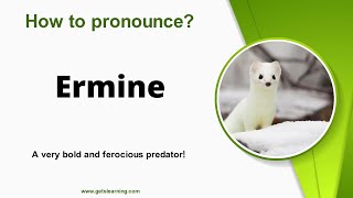 How to pronounce Ermine in English Correctly [upl. by Nuyh]