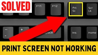 How to Fix Print Screen Not Working on Window 10  Print Screen Key Not Working  Quick Fix [upl. by Goldfinch886]