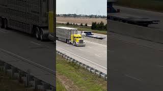 Beauty Peterbilt hauling a livestock trailer [upl. by Thomasina930]