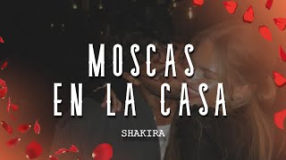 Shakira  Moscas en la Casa LetraLyrics [upl. by Bakerman]