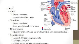 Fundamentals Chapter 39 Oxygenation MP4 [upl. by Stoecker128]