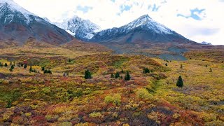 The Auriol Trail  Kluane National Park and Reserve [upl. by Gudrun]