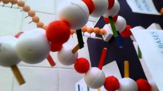 Maquete completa sobre DNA e RNA [upl. by Lam397]