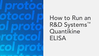 How to Run an RampD Systems Quantikine ELISA  an ELISA protocol video [upl. by Brezin]