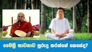 මෛත්‍රී භාවනාව පුරුදු කරන්නේ කෙසේද  Ven Aludeniye Subodhi Thero [upl. by Goines28]