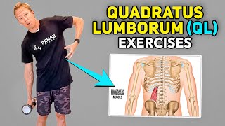 4 Quadratus Lumborum Pain Exercises [upl. by Phi]