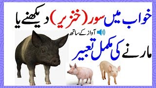 Khawab Ki Tabeer In Urdu Khawab Mein Suar Dekhna Ya Marna [upl. by Rriocard]