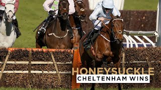 HONEYSUCKLES 3 CHELTENHAM FESTIVAL WINS [upl. by Denyse]