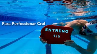 Natación Entrenamiento Crol  Principiantes y avanzado [upl. by Maroj]