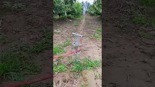 Corner cable rack Installation and usage process for garden spray [upl. by Glorianna]