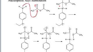 CHEM261 Synthesis of Phenacetin PreLab [upl. by Avictor781]