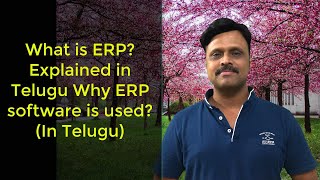 What is ERP Explained in Telugu Why ERP software is used In Telugu [upl. by Yema207]