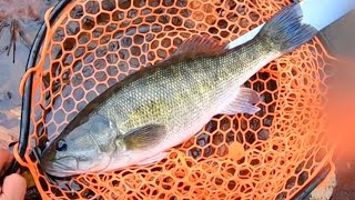 Late fall creek fishing for Shoal Bass [upl. by Fanchon940]