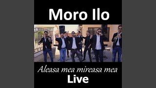 Aleasa mea mireasa mea Live [upl. by Verdha]