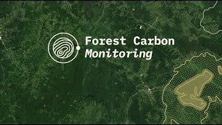 Forest Carbon Monitoring project [upl. by Esidnac64]