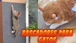 😻TOP 5 mejores Rascadores para Gatos BARATOS de Aliexpress 2024🐱CalidadPrecioRascador para gato [upl. by Ennovoj643]