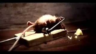 Rocky the rat commercial [upl. by Nwahc]