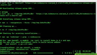 How To Install Latest Nodejs and NPM on CentOS 7 [upl. by Grati575]