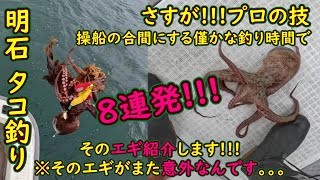 【明石 タコ釣り】さすがプロの技 僅かな釣り時間で８連発したエギ紹介【意外なエギ】 [upl. by Nahem]